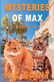 Mysteries of Max Mysteries of Max