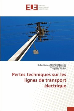 Cover Pertes techniques sur les lignes de transport électrique