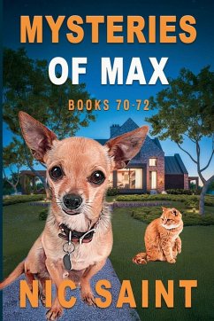Cover Mysteries of Max