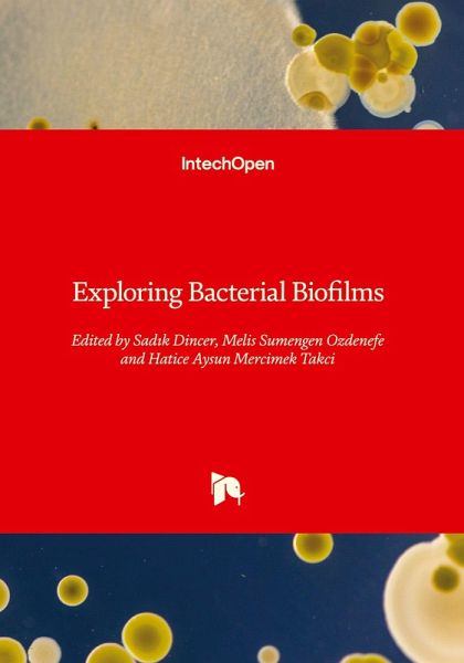 Exploring Bacterial Biofilms