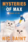 Mysteries of Max Mysteries of Max