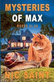 Mysteries of Max Mysteries of Max