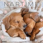 Naptime: Dogs & Puppies on Their Best Behavior 2026 12 X 12 Wall Calendar Naptime: Dogs & Puppies on Their Best Behavior 2026 12 X 12 Wall Calendar