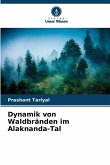 Dynamik von Waldbränden im Alaknanda-Tal