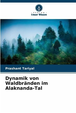 Cover Dynamik von Waldbränden im Alaknanda-Tal