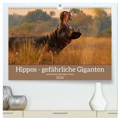 Cover Hippos - Gefährliche Giganten (hochwertiger Premium Wandkalender 2026 DIN A2 quer), Kunstdruck in Hochglanz