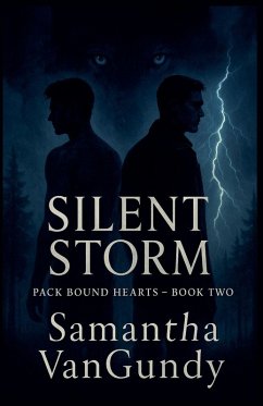 Cover Silent Storm