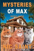 Mysteries of Max Mysteries of Max