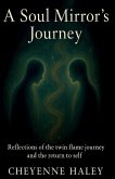 A Soul Mirror's Journey A Soul Mirror's Journey