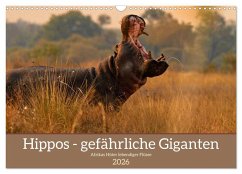 Cover Hippos - Gefährliche Giganten (Wandkalender 2026 DIN A3 quer), CALVENDO Monatskalender