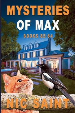 Cover Mysteries of Max