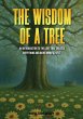 The Wisdom of a Tree - Bild 1