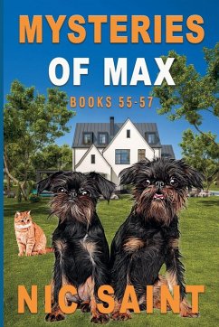 Cover Mysteries of Max