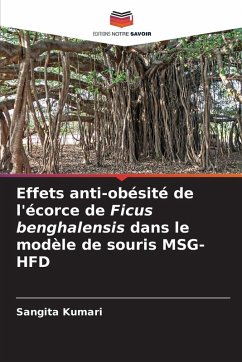 Cover Effets anti-obésité de l'écorce de Ficus benghalensis dans le modèle de souris MSG-HFD