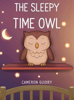 The Sleepy Time Owl Cover The Sleepy Time Owl