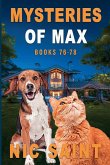 Mysteries of Max Mysteries of Max