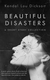 Beautiful Disasters: A Short Story Collection (eBook, ePUB)