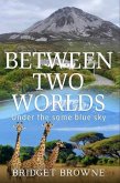 Beyond Two Worlds (eBook, ePUB)