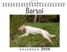 Barsoi - Bild 1