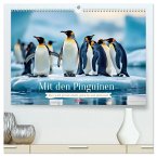 Mit den Pinguinen (hochwertiger Premium Wandkalender 2026 DIN A2 quer), Kunstdruck in Hochglanz Mit den Pinguinen (hochwertiger Premium Wandkalender 2026 DIN A2 quer), Kunstdruck in Hochglanz