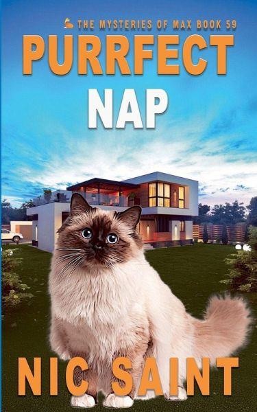 Purrfect Nap Purrfect Nap