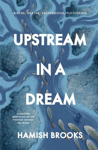 Upstream in a Dream