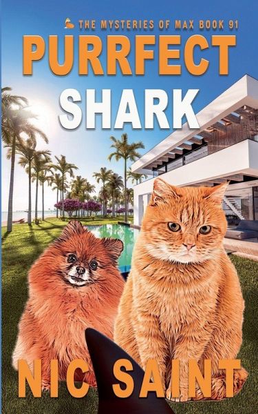 Purrfect Shark Purrfect Shark