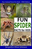 Fun Spider Facts For Kids Fun Spider Facts For Kids