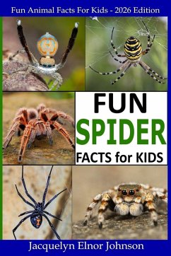 Cover Fun Spider Facts For Kids