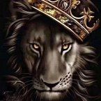 The Curse (eBook, ePUB) The Curse (eBook, ePUB)