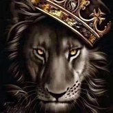 The Curse (eBook, ePUB) The Curse (eBook, ePUB)