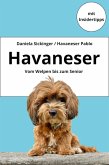 Havaneser - vom Welpen bis zum Senior (eBook, ePUB)