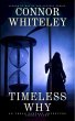 Timeless Why: A Urban Fantasy Adventure... - Bild 1