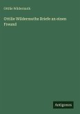 Ottilie Wildermuths Briefe an einen Freund