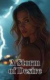 A Storm of Desire (eBook, ePUB)