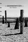 Gedankenfetzen (eBook, ePUB)