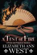 A Test of Fire (eBook, ePUB) - Bild 1