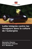 Lutte intégrée contre les ravageurs dans la culture de l'aubergine Lutte intégrée contre les ravageurs dans la culture de l'aubergine