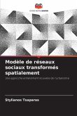 Modèle de réseaux sociaux transformés spatialement