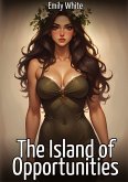 The Island of Opportunities