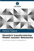 Räumlich transformiertes Modell sozialer Netzwerke Räumlich transformiertes Modell sozialer Netzwerke