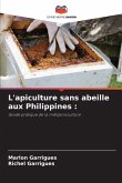 L'apiculture sans abeille aux Philippines :