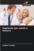 Sigillante per solchi e fessure