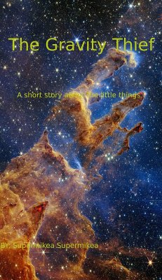 Cover The Gravity THief (eBook, ePUB)