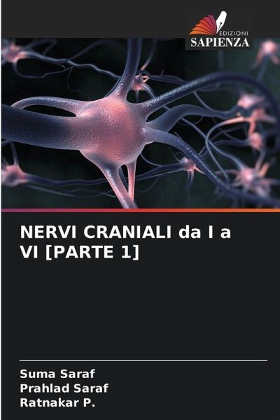 NERVI CRANIALI da I a VI [PARTE 1]