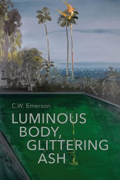Cover Luminous Body, Glittering Ash