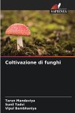 Coltivazione di funghi