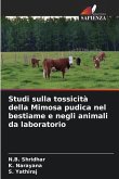 Studi sulla tossicità della Mimosa pudica nel bestiame e negli animali da laboratorio Studi sulla tossicità della Mimosa pudica nel bestiame e negli animali da laboratorio