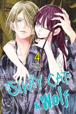Cover Stray Cat & Wolf, Vol. 4
