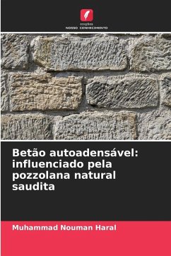 Cover Betão autoadensável: influenciado pela pozzolana natural saudita